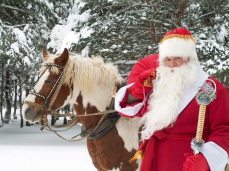 Llegando desde el Polo...