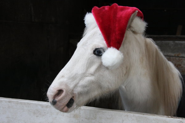 Se acerca la Navidad...